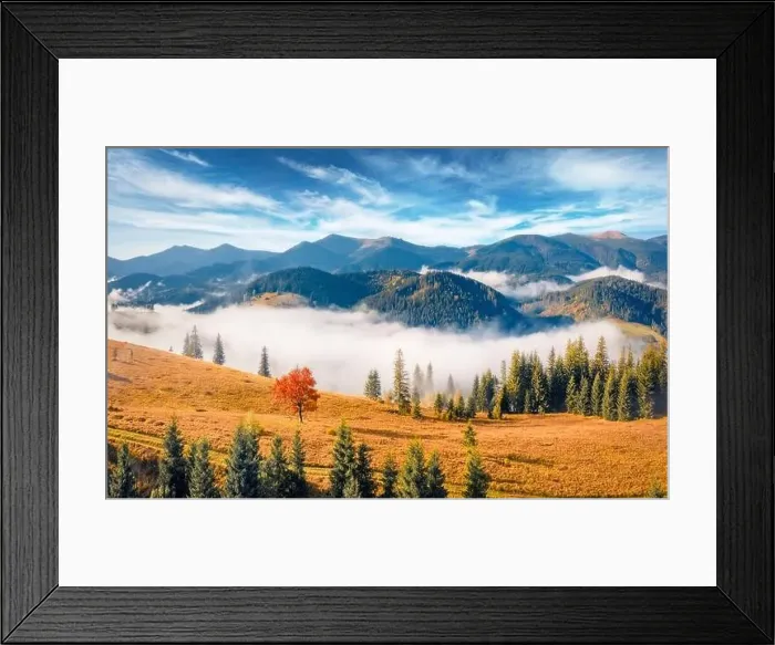 Framed Print : Adorable morning view from flying drone of Carpathian mountains Framed Print : Adorable morning view from flying drone of Carpathian mountains
