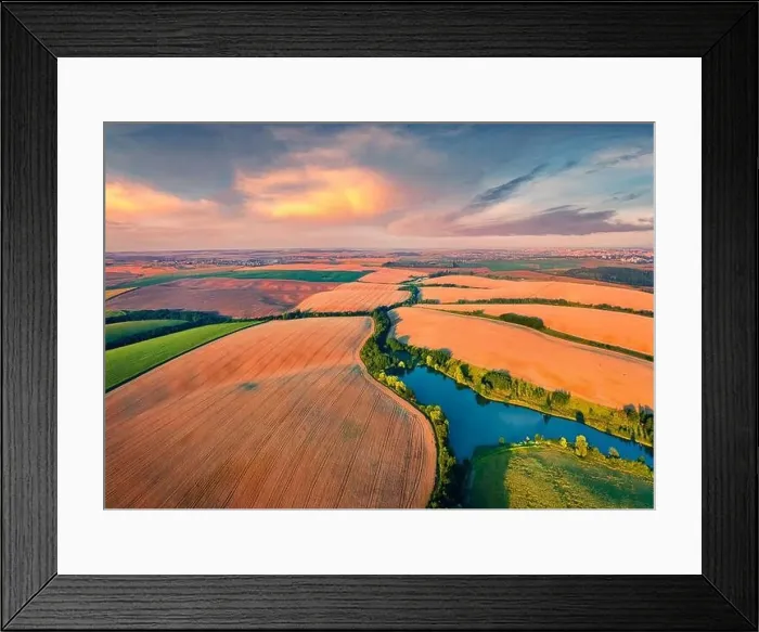 Framed Print : View from flying drone of river in the shape of tree among the field of wheat Framed Print : View from flying drone of river in the shape of tree among the field of wheat