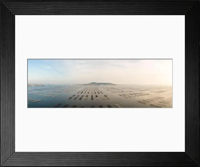 Framed Print : Aerial panorama of oyster tables in Bouzigues on the Thau lagoon, in Hérault in Occitanie, France Framed Print : Aerial panorama of oyster tables in Bouzigues on the Thau lagoon, in Hérault in Occitanie, France