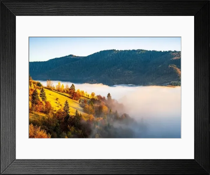 Framed Print : Grey mist covered with the colorful trees on mountain hils Framed Print : Grey mist covered with the colorful trees on mountain hils