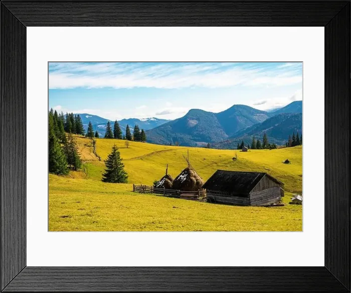 Framed Print : Bewitching beautiful summer landscape of a green meadow on a hill overlooking a dense coniferous forest Framed Print : Bewitching beautiful summer landscape of a green meadow on a hill overlooking a dense coniferous forest