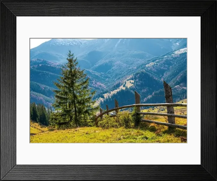 Framed Print : Bewitching beautiful summer landscape of a green meadow on a hill overlooking a dense coniferous forest Framed Print : Bewitching beautiful summer landscape of a green meadow on a hill overlooking a dense coniferous forest