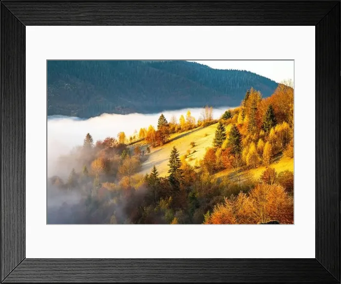 Framed Print : Grey mist covered with the colorful trees on mountain hils Framed Print : Grey mist covered with the colorful trees on mountain hils