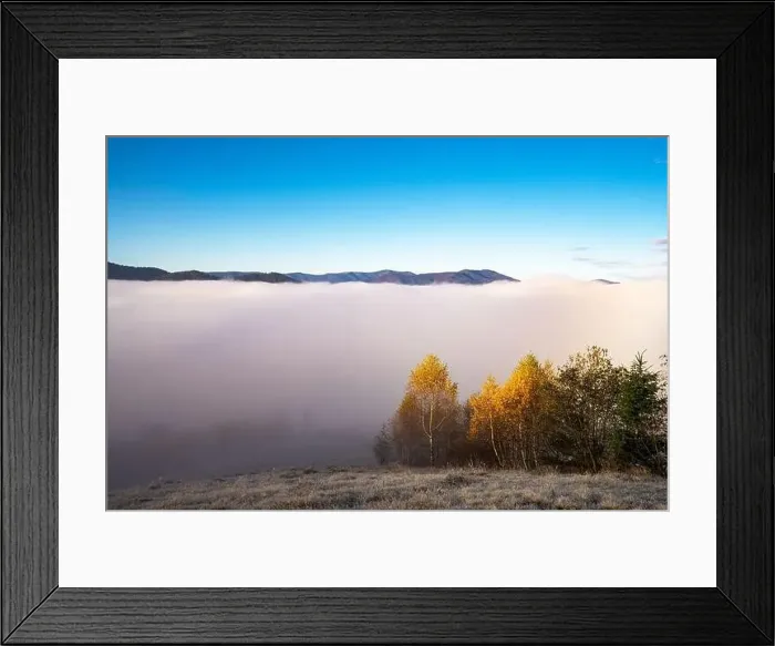 Framed Print : Grey mist covered with the colorful trees on mountain hils Framed Print : Grey mist covered with the colorful trees on mountain hils