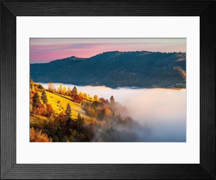 Framed Print : Grey mist covered with the colorful trees on mountain hils Framed Print : Grey mist covered with the colorful trees on mountain hils