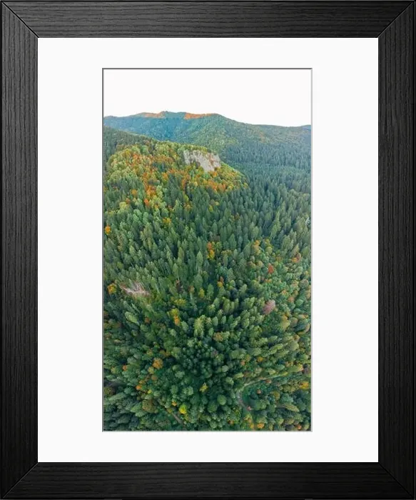 Framed Print : Aerial top down beautiful view over the forest in autumn Framed Print : Aerial top down beautiful view over the forest in autumn