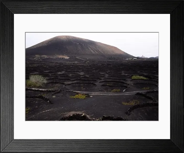 Framed Print : Drone view of vines growing in pits against high dry mounts and roads in Geria Lanzarote Canary Islands Spain Framed Print : Drone view of vines growing in pits against high dry mounts and roads in Geria Lanzarote Canary Islands Spain
