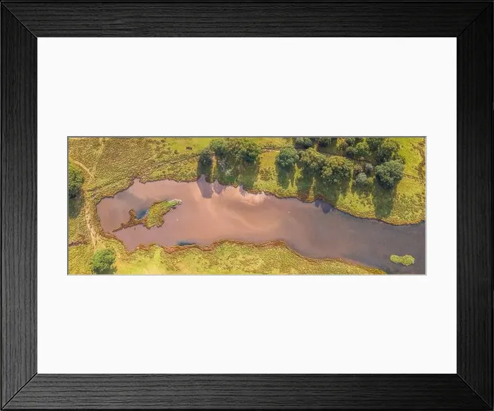 Framed Print : Panorama of Pond in Powderham Park from a drone, Powderham Castle, Exeter, Devon, England, Europe Framed Print : Panorama of Pond in Powderham Park from a drone, Powderham Castle, Exeter, Devon, England, Europe