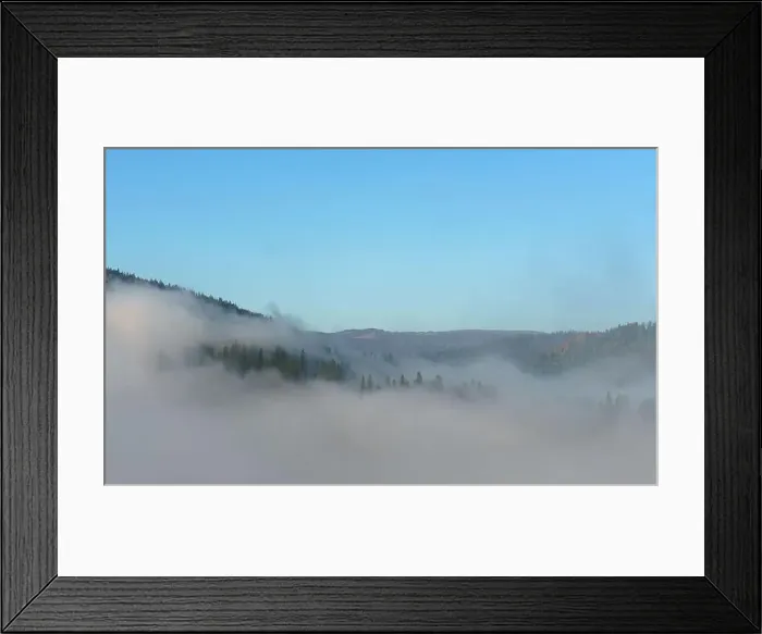Framed Print : Above the clouds View of pine trees under fog on Carpathian mountains