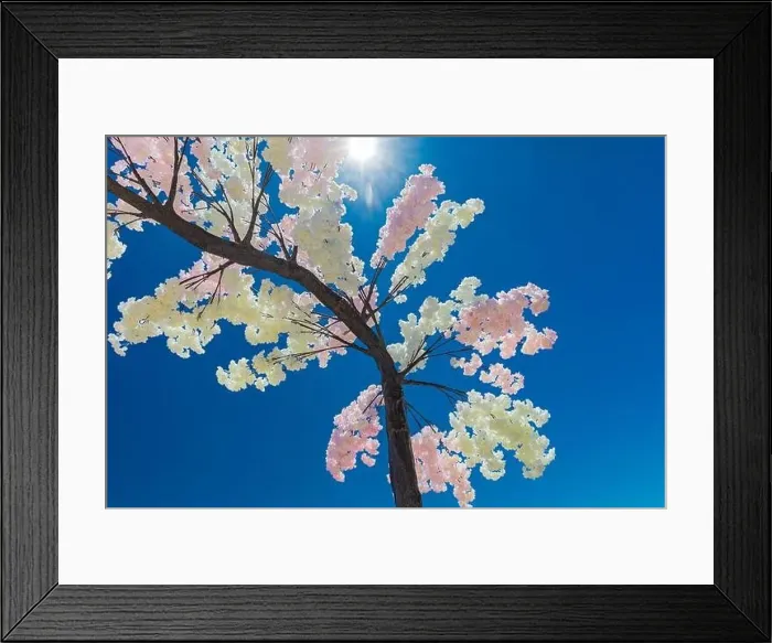 Framed Print : Aerial drone panoramic views of Praia Nova and Praia de Nossa beach, Algarve, Portugal Framed Print : Aerial drone panoramic views of Praia Nova and Praia de Nossa beach, Algarve, Portugal
