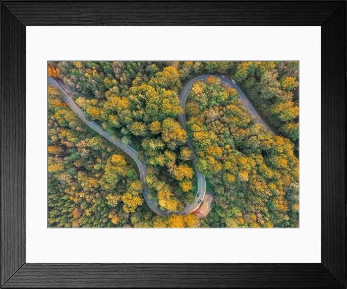 Framed Print : Top down view at a autumnal forest with a double curve and driving automobiles Framed Print : Top down view at a autumnal forest with a double curve and driving automobiles