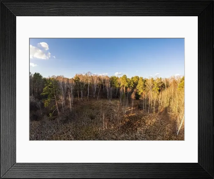 Framed Print : Aerial drone view of stunning colorful autumn fall forest. Drone Aerial View Concept Framed Print : Aerial drone view of stunning colorful autumn fall forest. Drone Aerial View Concept