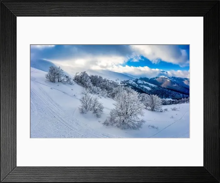 Framed Print : Fabulous snow-covered panorama of spruce trees Framed Print : Fabulous snow-covered panorama of spruce trees