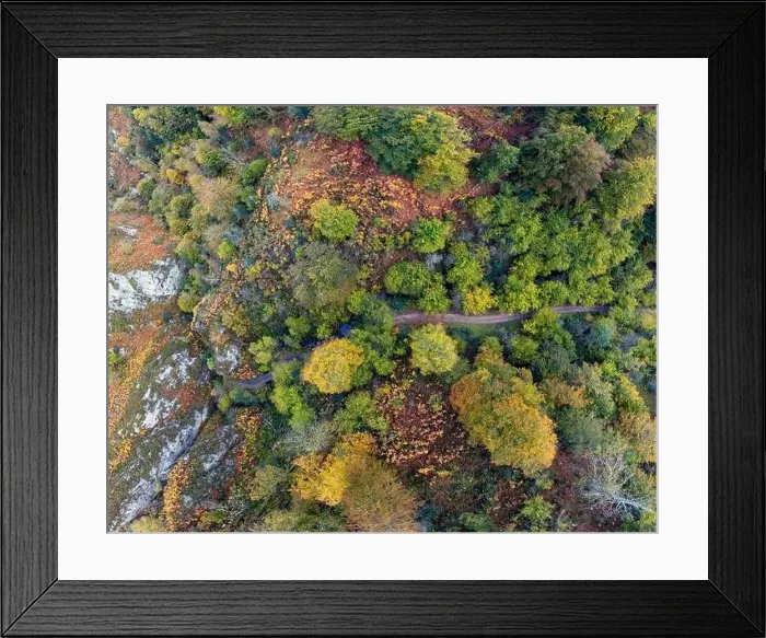 Framed Print : Aerial view forest in autumn on the path of Las Foces del Raigosu in the Asturian council of Laviana, Spain Framed Print : Aerial view forest in autumn on the path of Las Foces del Raigosu in the Asturian council of Laviana, Spain