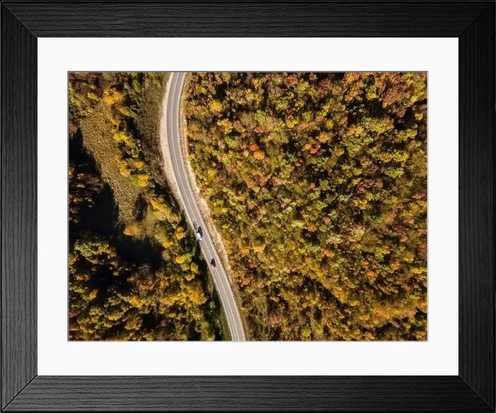 Framed Print : Top down aerial view drone image on the road trough the trees Framed Print : Top down aerial view drone image on the road trough the trees