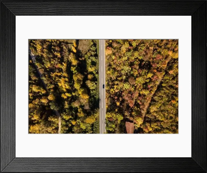 Framed Print : Top down aerial view drone image on the road trough the trees Framed Print : Top down aerial view drone image on the road trough the trees