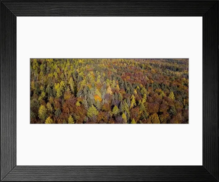 Framed Print : Aerial top down view of autumn forest with green and yellow trees Framed Print : Aerial top down view of autumn forest with green and yellow trees