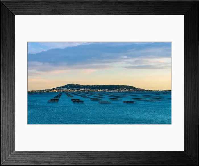 Framed Print : Oyster park at the Etang de Thau and Mont Saint Clair, in Occitanie, France Framed Print : Oyster park at the Etang de Thau and Mont Saint Clair, in Occitanie, France