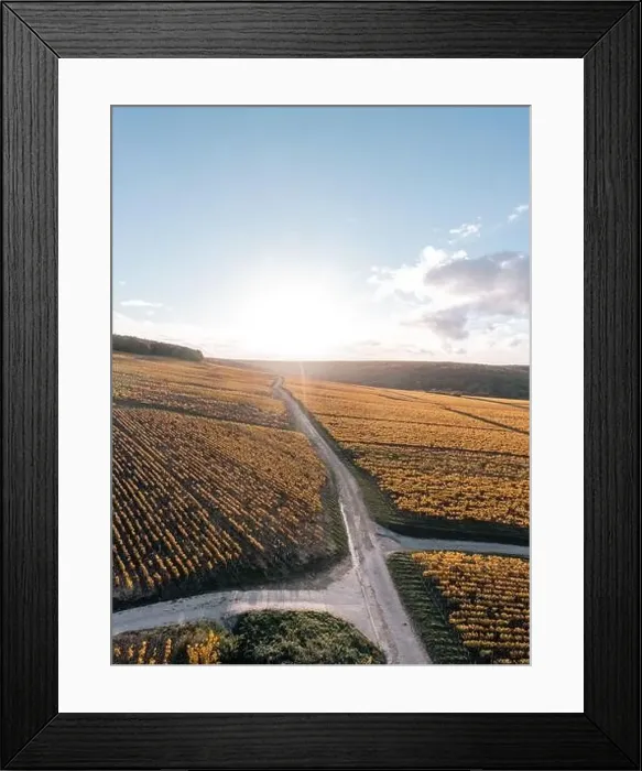 Framed Print : Wine trail, country road and Chablis vineyards. Burgundy, France Framed Print : Wine trail, country road and Chablis vineyards. Burgundy, France