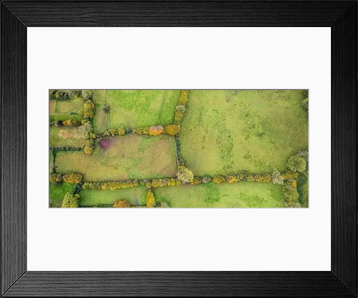 Framed Print : Top Down view of Autumn Colors over Somerset fields from a drone, England, Europe Framed Print : Top Down view of Autumn Colors over Somerset fields from a drone, England, Europe