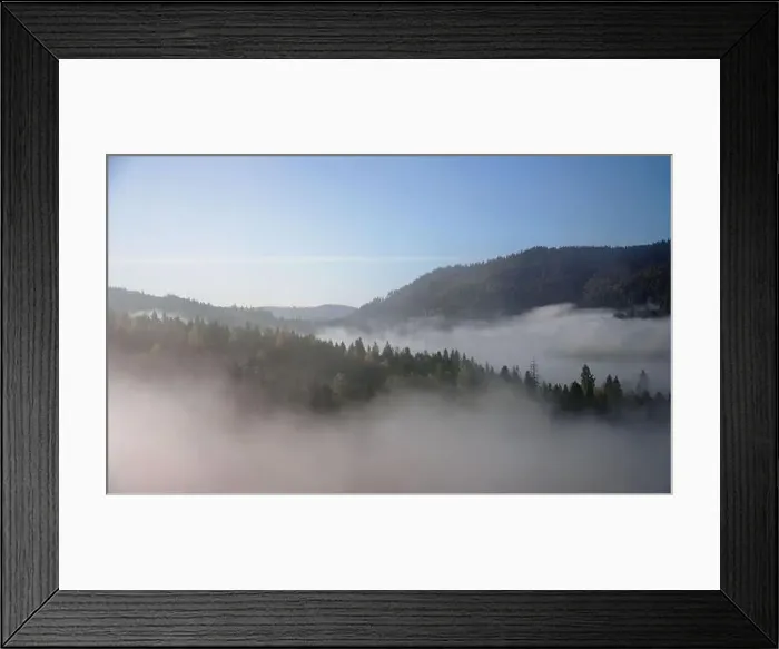 Framed Print : Fog covers pine forests on Carpathian mountains in Ukraine Framed Print : Fog covers pine forests on Carpathian mountains in Ukraine