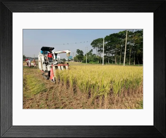 Framed Print : Manikganj, Bangladesh - November 19 Framed Print : Manikganj, Bangladesh - November 19