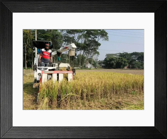 Framed Print : Manikganj, Bangladesh - November 19 Framed Print : Manikganj, Bangladesh - November 19