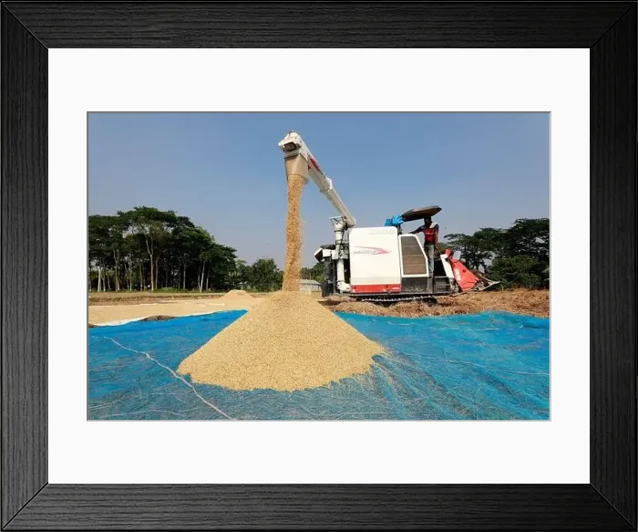Framed Print : Manikganj, Bangladesh - November 19 Framed Print : Manikganj, Bangladesh - November 19