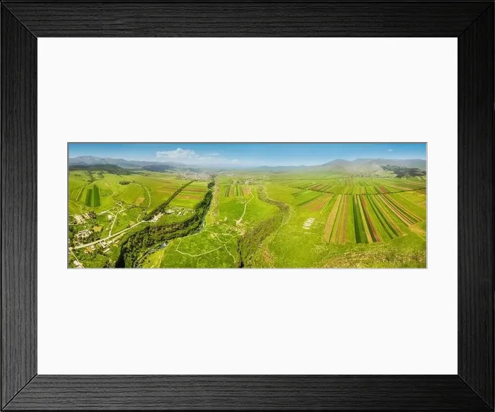 Framed Print : Panoramic view from the drone on the rows of agricultural land sown with crops Framed Print : Panoramic view from the drone on the rows of agricultural land sown with crops