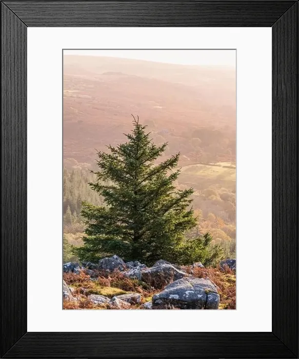 Framed Print : Autumn Colours over River Dart from a drone, Dartmoor Park, Devon, England, Europe Framed Print : Autumn Colours over River Dart from a drone, Dartmoor Park, Devon, England, Europe