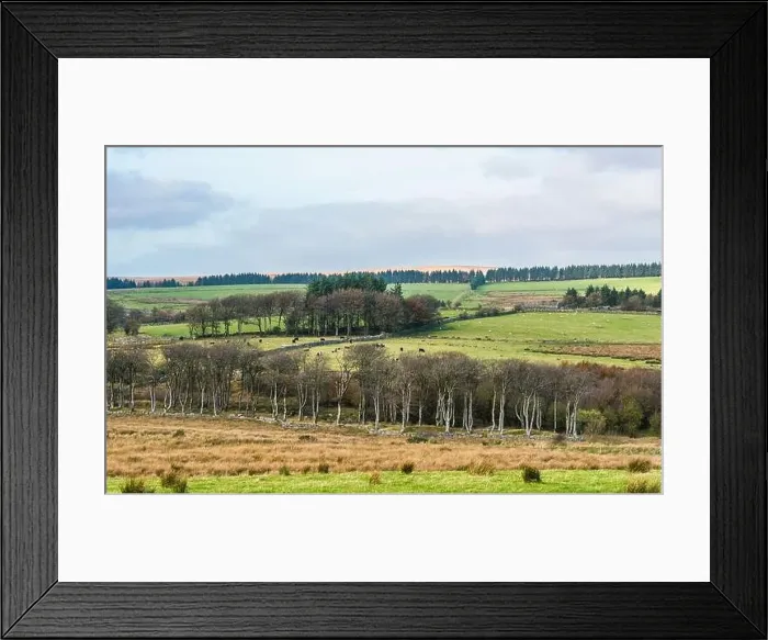 Framed Print : Autumn Colours over River Dart from a drone, Dartmoor Park, Devon, England, Europe Framed Print : Autumn Colours over River Dart from a drone, Dartmoor Park, Devon, England, Europe