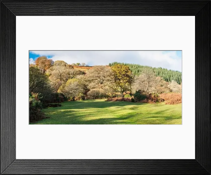 Framed Print : Autumn Colours over River Dart from a drone, Dartmoor Park, Devon, England, Europe Framed Print : Autumn Colours over River Dart from a drone, Dartmoor Park, Devon, England, Europe