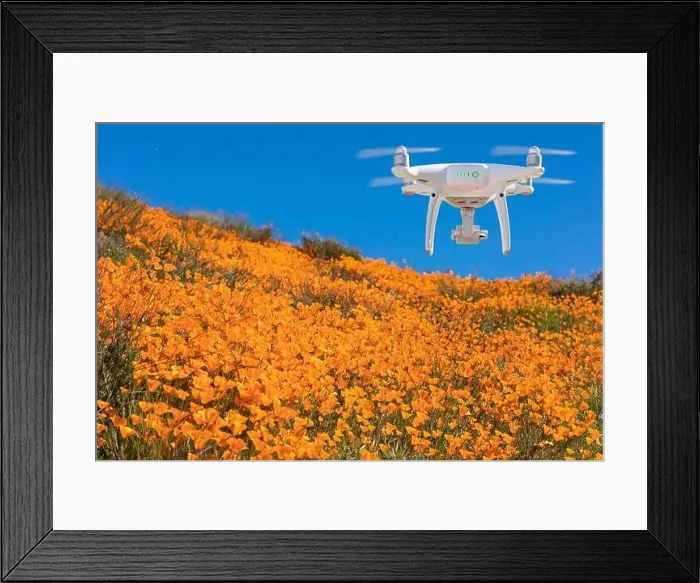 Framed Print : Drone Flying Above California Poppies Landscape During the 2019 Super Bloom Framed Print : Drone Flying Above California Poppies Landscape During the 2019 Super Bloom