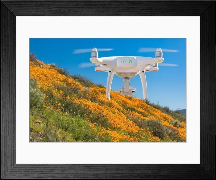 Framed Print : Drone Flying Above California Poppies Landscape During the 2019 Super Bloom Framed Print : Drone Flying Above California Poppies Landscape During the 2019 Super Bloom