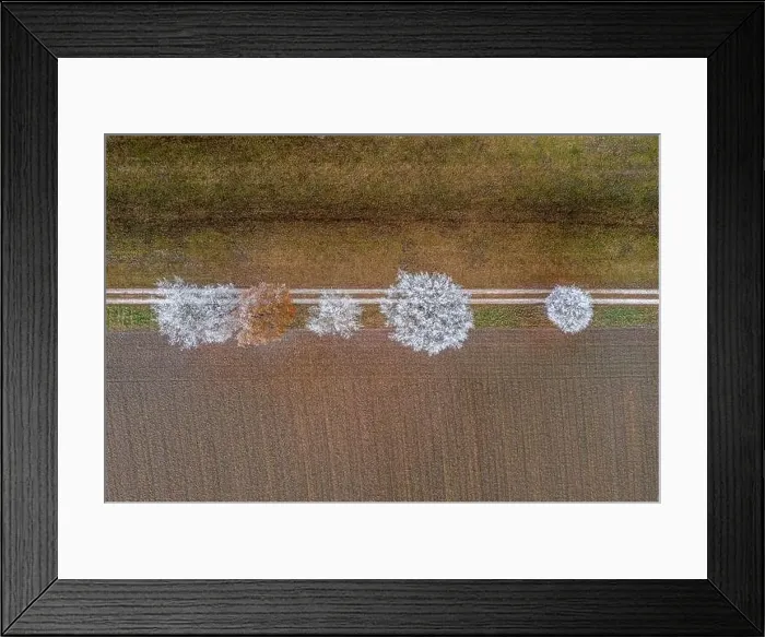 Framed Print : Aerial top down shot of frozen white treetops Framed Print : Aerial top down shot of frozen white treetops