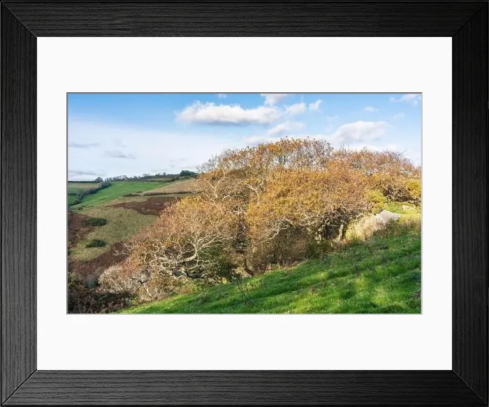 Framed Print : English Village and farmlands in Autumn Colors, Kingswear, Brixham, Devon, England, Europe Framed Print : English Village and farmlands in Autumn Colors, Kingswear, Brixham, Devon, England, Europe