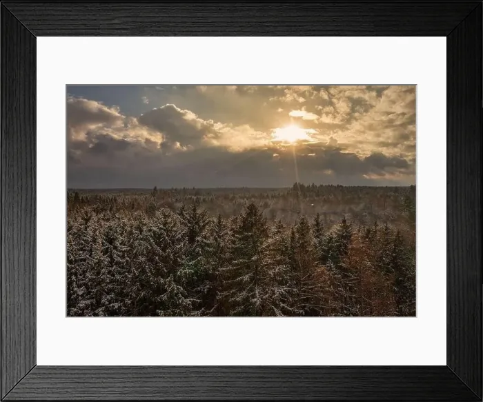 Framed Print : After a snowy day, the sun is shining at the white tree tops Framed Print : After a snowy day, the sun is shining at the white tree tops