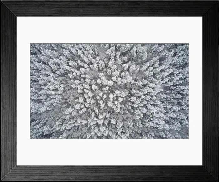 Framed Print : Deep winter forest background above top drone view Framed Print : Deep winter forest background above top drone view