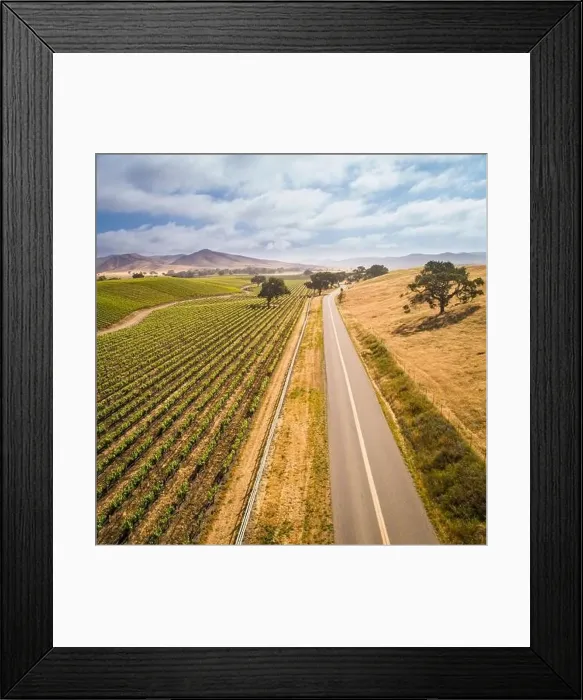 Framed Print : aerial view of vineyards along Happy Canyon Road in the Santa Ynez Valley, California Framed Print : aerial view of vineyards along Happy Canyon Road in the Santa Ynez Valley, California
