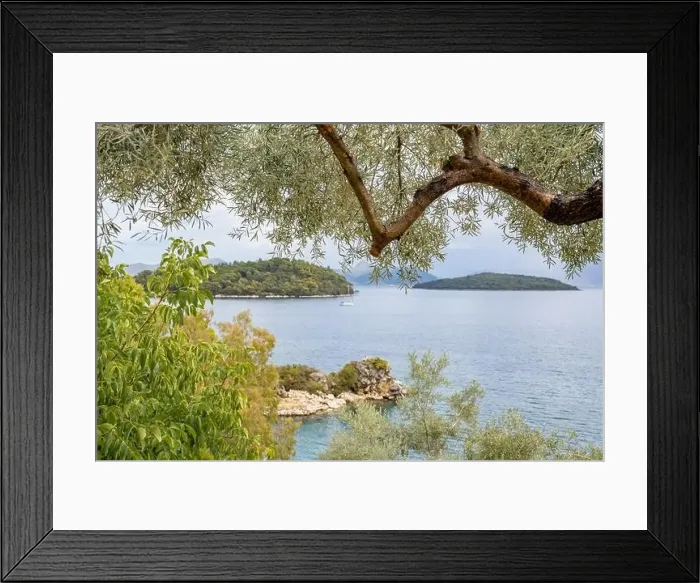 Framed Print : Olive tree, Lefkada, a Greek island in the Ionian Sea Framed Print : Olive tree, Lefkada, a Greek island in the Ionian Sea