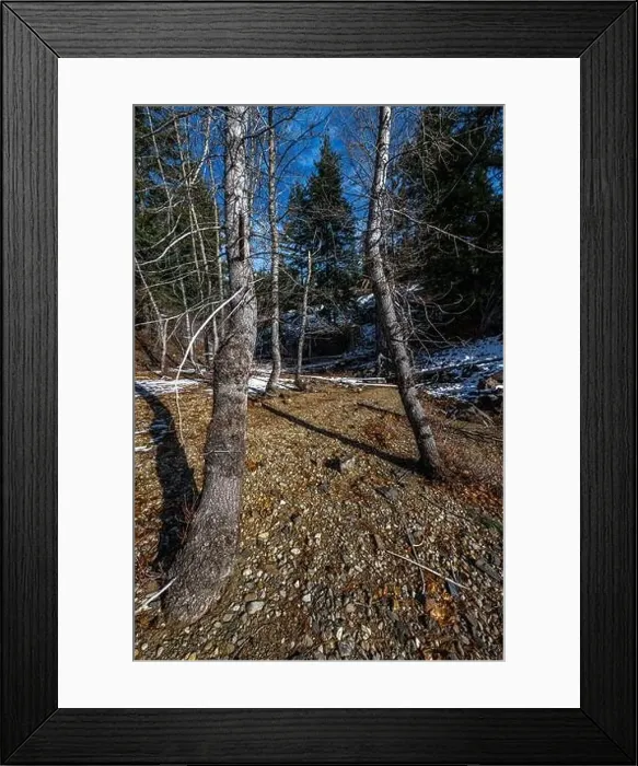 Framed Print : Cle Elum Lake Area in November, Washington State Framed Print : Cle Elum Lake Area in November, Washington State