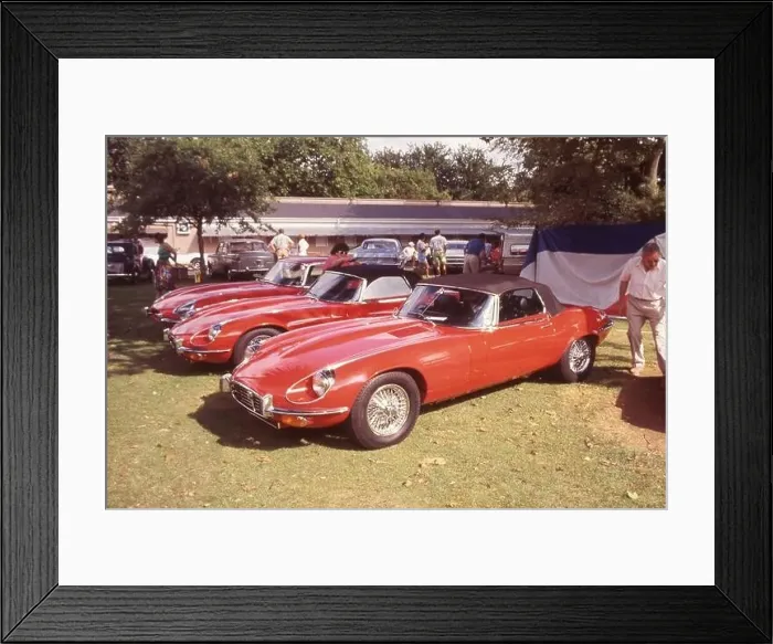 Framed Print : A trio of red E Type Jaguars at the annual Ellerslie Car Show Framed Print : A trio of red E Type Jaguars at the annual Ellerslie Car Show