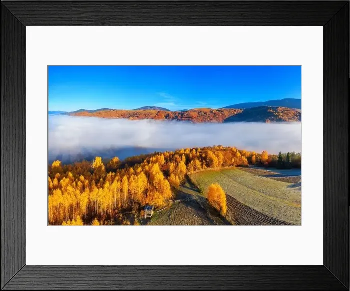 Framed Print : Wonderful autumn landscape in the mountains at dawn. Drone view of the autumn forest and low clouds Framed Print : Wonderful autumn landscape in the mountains at dawn. Drone view of the autumn forest and low clouds