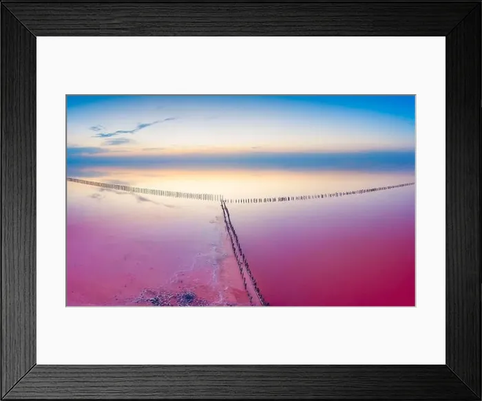 Framed Print : Lake with pink healing salt water on a background of sunset and sunrise. Drone view. Wonderful summer landscape Framed Print : Lake with pink healing salt water on a background of sunset and sunrise. Drone view. Wonderful summer landscape