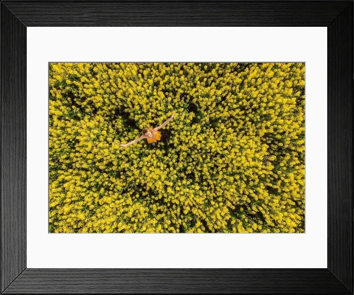 Framed Print : Woman in yellow dress at blooming rapeseed field. Bright yellow flowers and happy woman Framed Print : Woman in yellow dress at blooming rapeseed field. Bright yellow flowers and happy woman