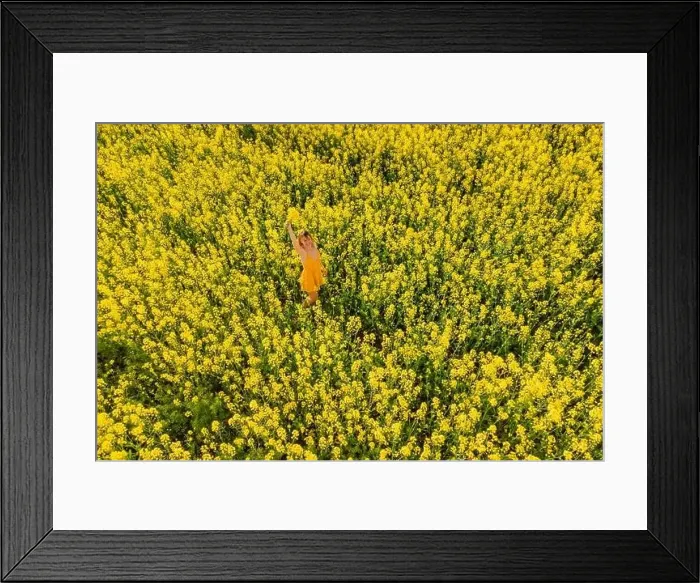 Framed Print : Woman in yellow dress at blooming rapeseed field. Bright yellow flowers and happy woman Framed Print : Woman in yellow dress at blooming rapeseed field. Bright yellow flowers and happy woman