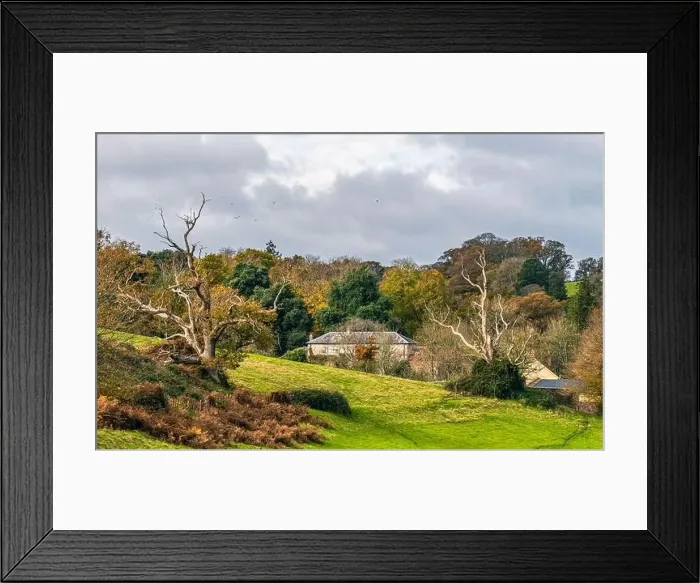 Framed Print : Top down panorama over Ugbrooke House and Gardens from a drone in the colors of fall, Exeter, Devon, England, Europe Framed Print : Top down panorama over Ugbrooke House and Gardens from a drone in the colors of fall, Exeter, Devon, England, Europe