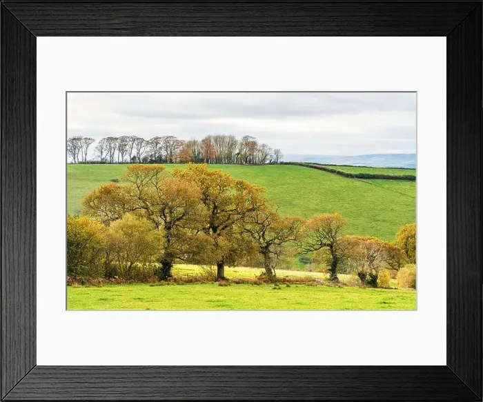 Framed Print : Farmlands, Meadows and Fields over Devon in the colors of fall, England, Europe Framed Print : Farmlands, Meadows and Fields over Devon in the colors of fall, England, Europe