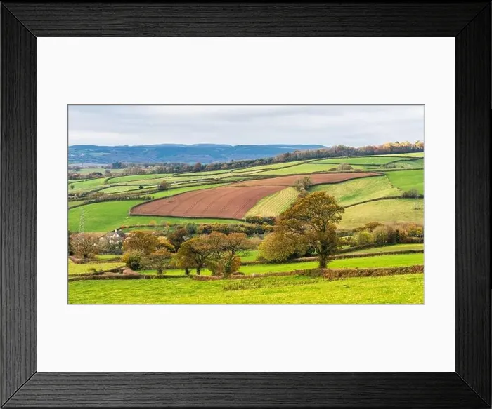 Framed Print : Farmlands, Meadows and Fields over Devon in the colors of fall, England, Europe Framed Print : Farmlands, Meadows and Fields over Devon in the colors of fall, England, Europe