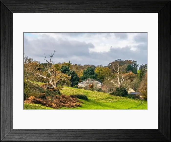 Framed Print : Top down panorama over Ugbrooke House and Gardens from a drone in the colors of fall, Exeter, Devon, England, Europe Framed Print : Top down panorama over Ugbrooke House and Gardens from a drone in the colors of fall, Exeter, Devon, England, Europe